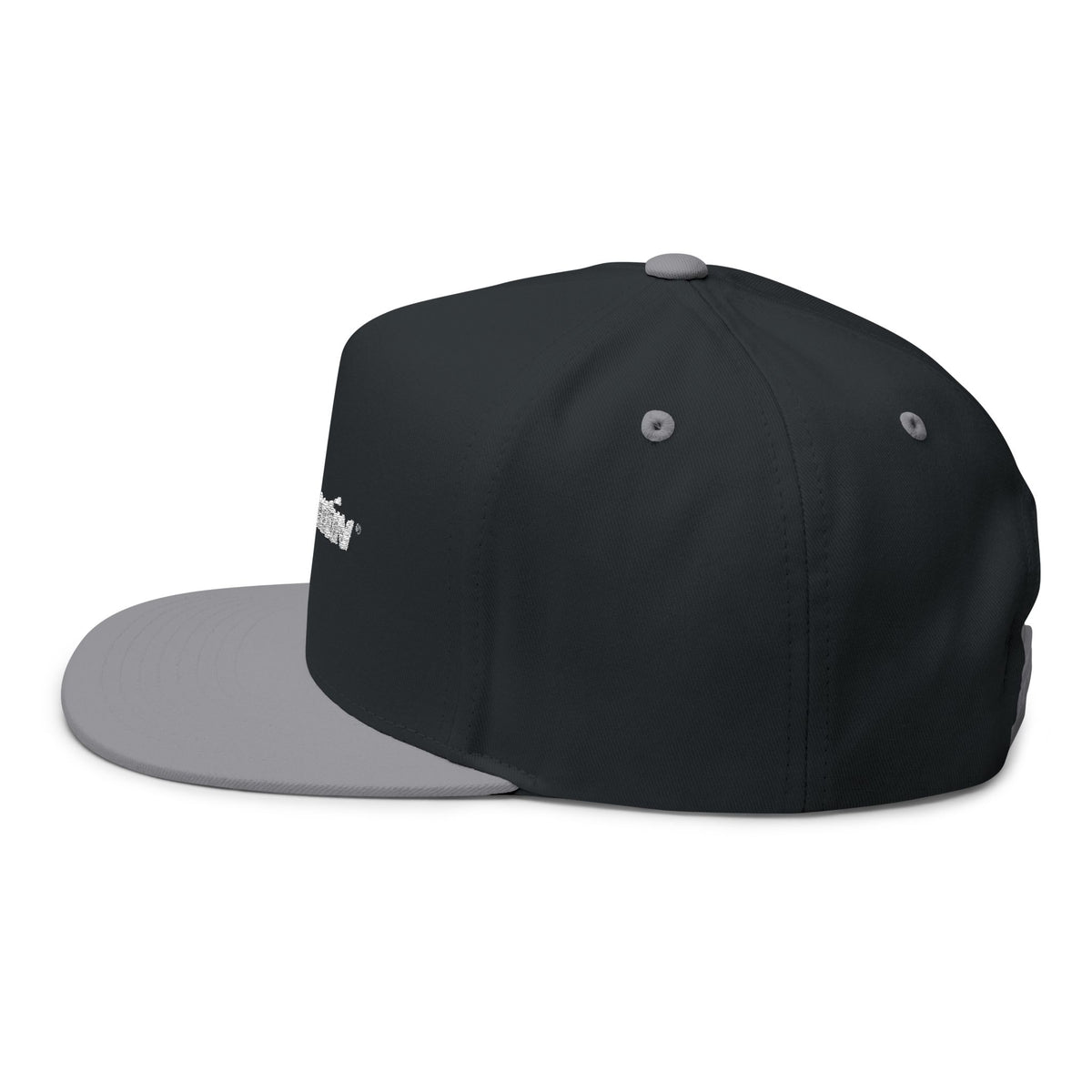Asentiv Cap Dark