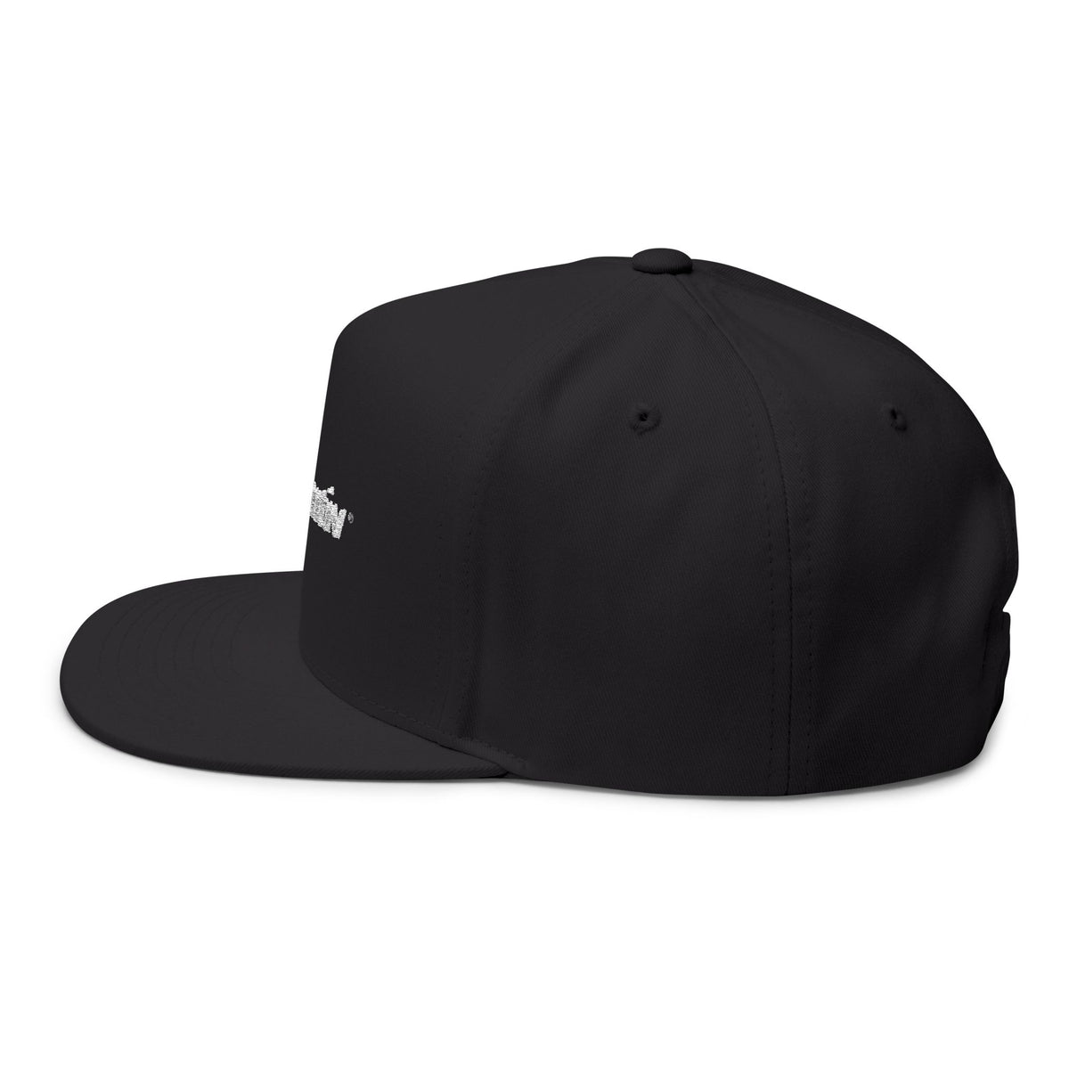 Asentiv Cap Dark